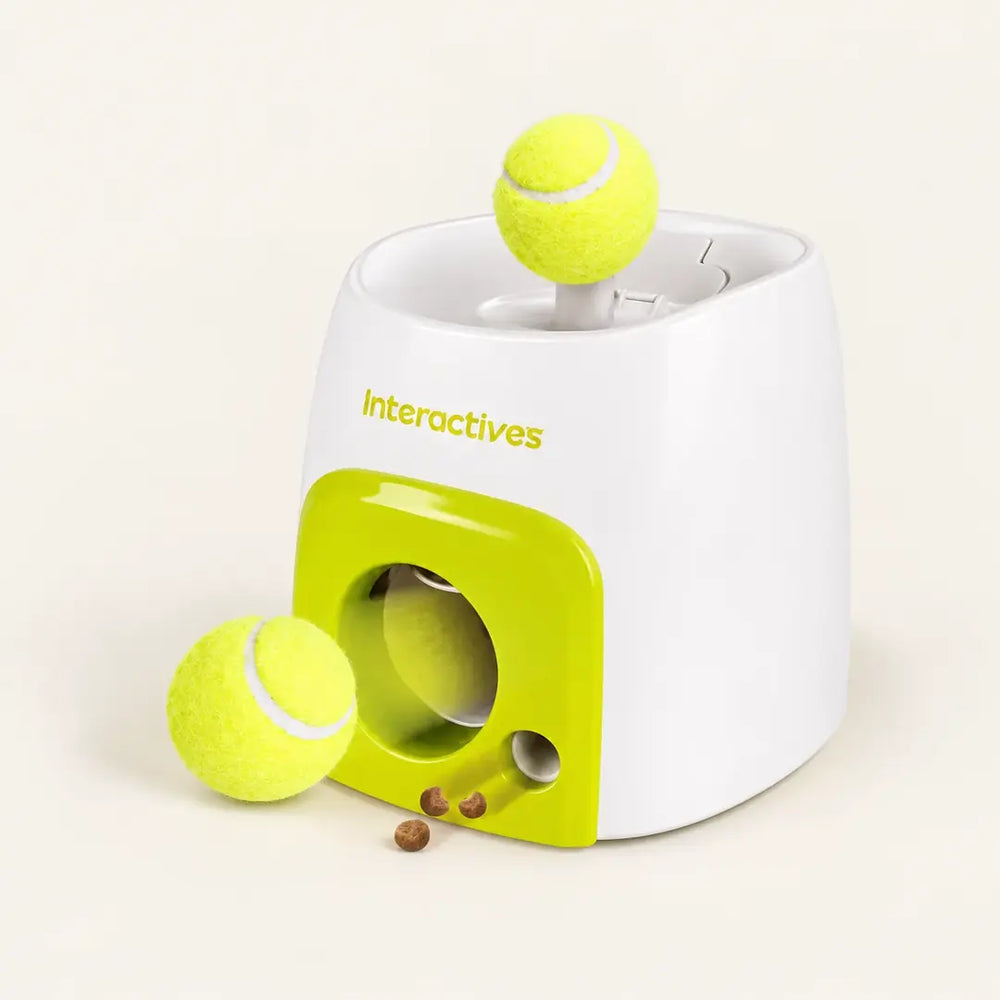 Juguete Dispensador de Comida para Perros