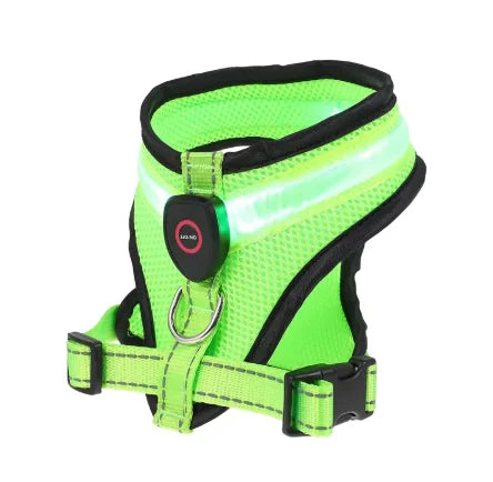 Arnés con Luz LED Recargable para Paseos de Noche – Verde / S