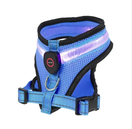 Arnés con Luz LED Recargable para Paseos de Noche – Azul / S