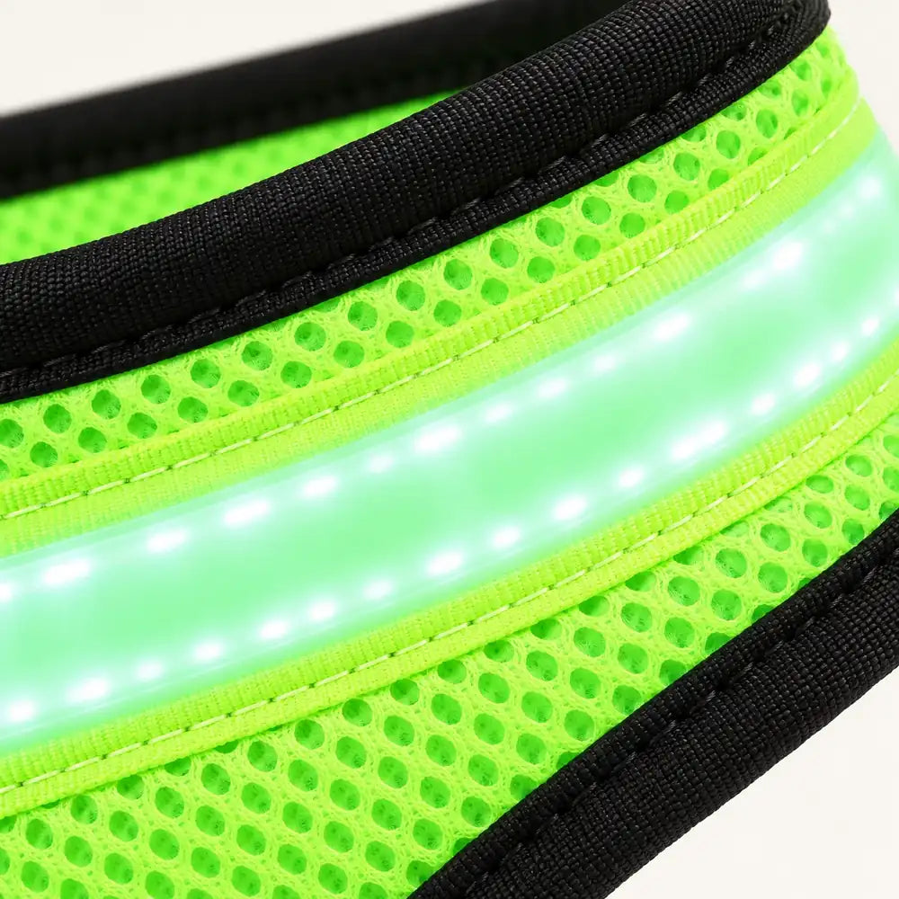 Arnés con Luz LED Recargable para Paseos de Noche – detalle