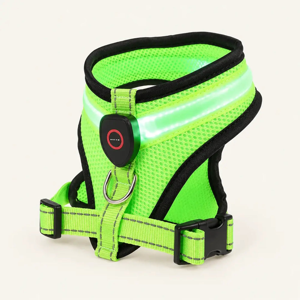 Arnés con Luz LED Recargable para Paseos de Noche