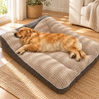 Cama Grande de Soporte Total para Perros Medianos y Grandes en uso