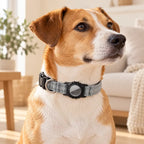 Collar Reflectante con Funda para AirTag en uso