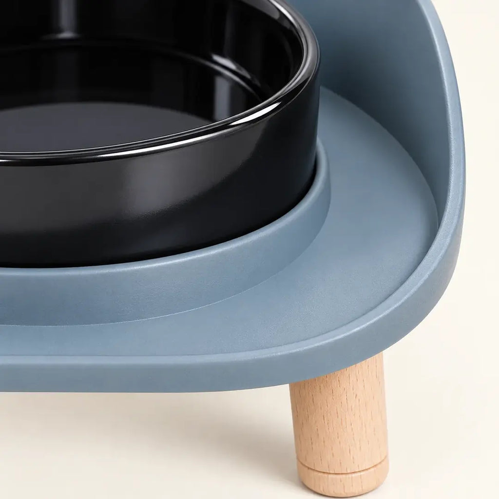 Comedero Elevado e Inclinado para Gatos – detalle