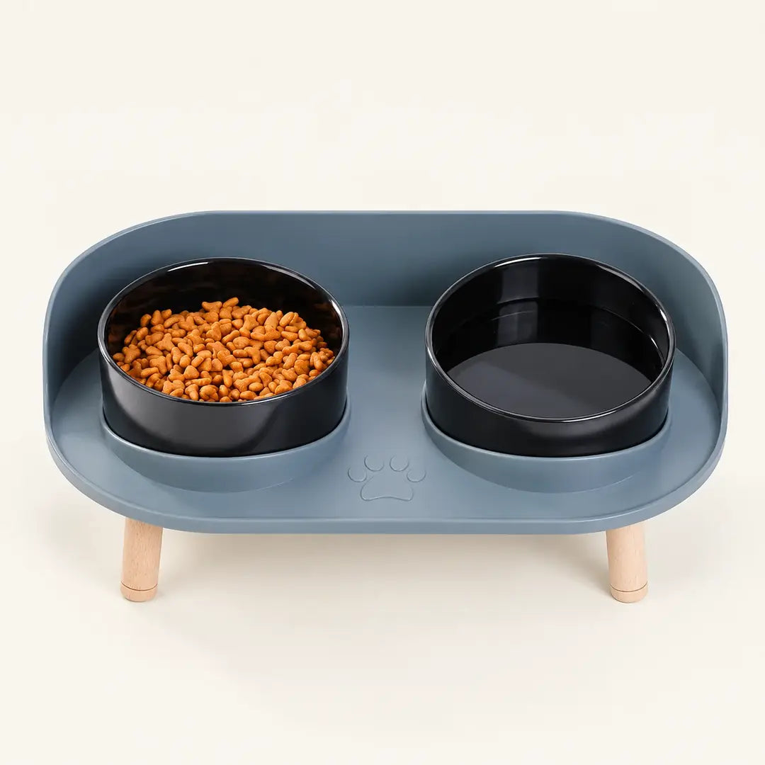 Comedero Elevado e Inclinado para Gatos