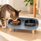 Comedero Elevado e Inclinado para Gatos en uso