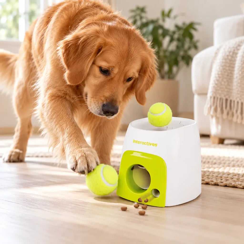 Juguete Dispensador de Comida para Perros en uso